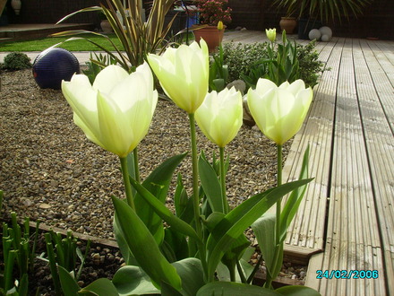 IMGP0763.jpg