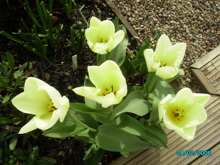IMGP0764.jpg