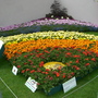 The Smile Garden