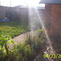 this area was full of building rubble - most of which i buried? 