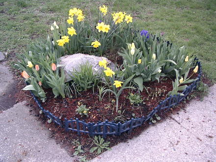 Rock Garden 