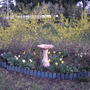 Forsythia Garden