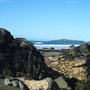 Cardigan Bay (cardigan bay)