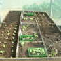 herb bed