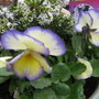 IMG_4883.jpg