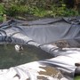 Pond2