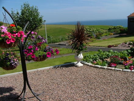 front garden