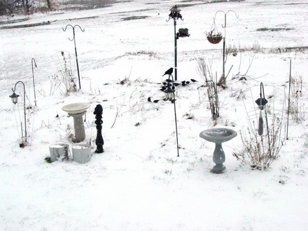 My Garden on April 26