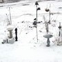 Garden_april_26