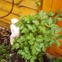 Picture_007.jpg