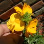 Can you tell me the name of this?