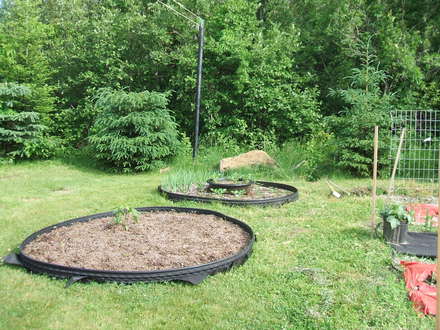 strawberry beds