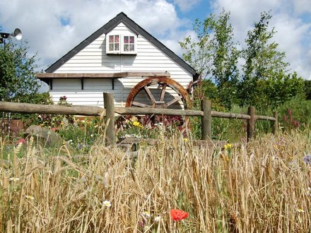 The Millers Garden