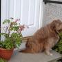 My_little_helper