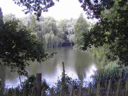 Gardens_002.jpg