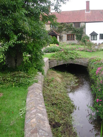 Stream project - begun!