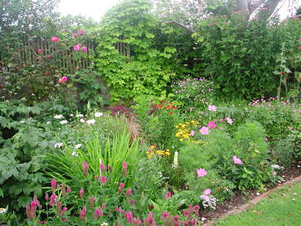 New planting update (Kniphofia hirsuta 'Little Maid')