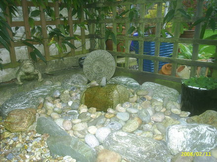 PIC_0064.jpg