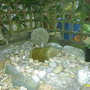 PIC_0064.jpg