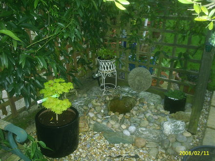 PIC_0085.jpg