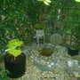 PIC_0085.jpg