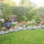 A garden flower photo