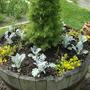 Heb Garden Tub