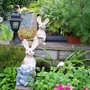 A garden flower photo