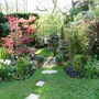 Back garden Mon 28 April 08