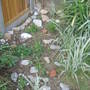 Spring garden