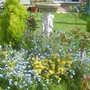 April Garden.