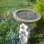 April garden.