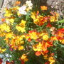 28th_april_08_034
