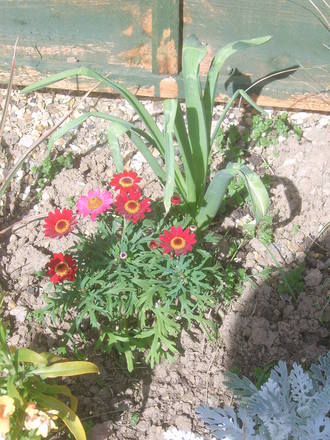 April garden