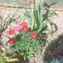 28th_april_08_040