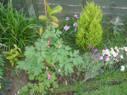 April garden