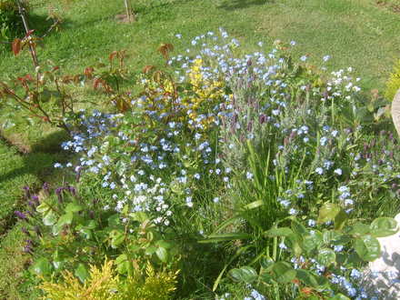April garden