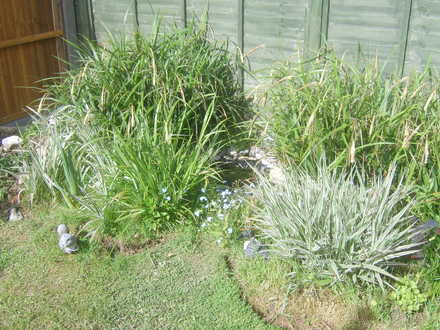 April garden