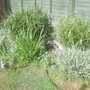 April garden