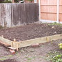 Veggie Patch - progress being made...