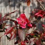 Dsc_0063