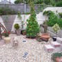 Lower area of garden