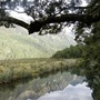Copy_of_new_zealand_046