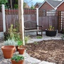 A garden flower photo