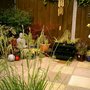 Tranquil patio