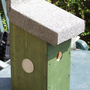 nestbox1.jpg