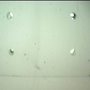 Nestbox5