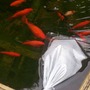 Johns_bday_2008_025