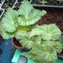1st_may_008