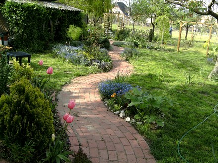 Path down back garden
